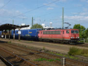 15.08.2017 Magdeburg-Neustadt