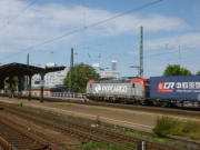 15.08.2017 Magdeburg-Neustadt