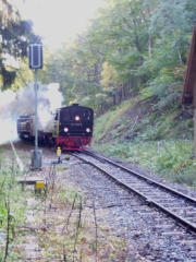 13.10.2011 zw.Drngetal und Drei-Annen-Hohne