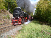 13.10.2011 zw.Drngetal und Drei-Annen-Hohne