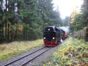 30.10.2015 zw.Drei-Annen-Hohne und Schierke