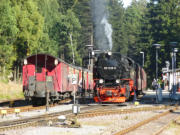 24.08.2016 Brockenbahn ab Schierke