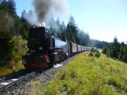 24.08.2016 Brockenbahn ab Schierke