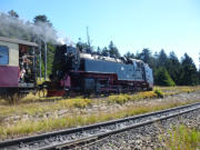 24.08.2016 Brockenbahn ab Schierke