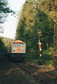 eine 250 der HVLE am 04.07.2006 am Haltepunkt Neuwerk