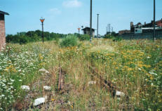 an der Lokleitung mit Blick auf GO am 21.07.2007