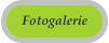 Fotogalerie