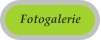 Fotogalerie