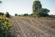 die ehemalige sechsgleisige Strecke bei Warmsdorf