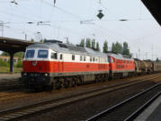 232.128-9 und 233.521-4 mit dem Nahgterzug aus Bernburg