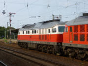 232.128-9 und 233.521-4 mit dem Nahgterzug aus Bernburg