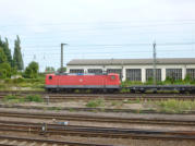 eine 143 mit Gterzug nach Magdeburg