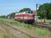 228.321-6 der CTR am 17.06.2013 in Haldensleben